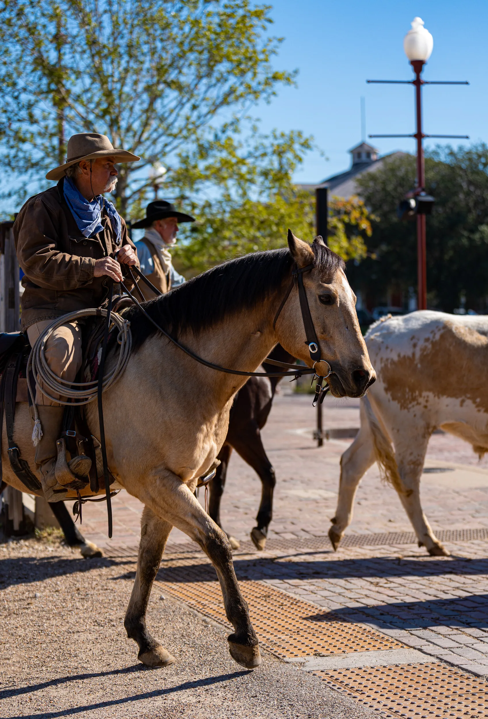 Texas — photo 2 of 59