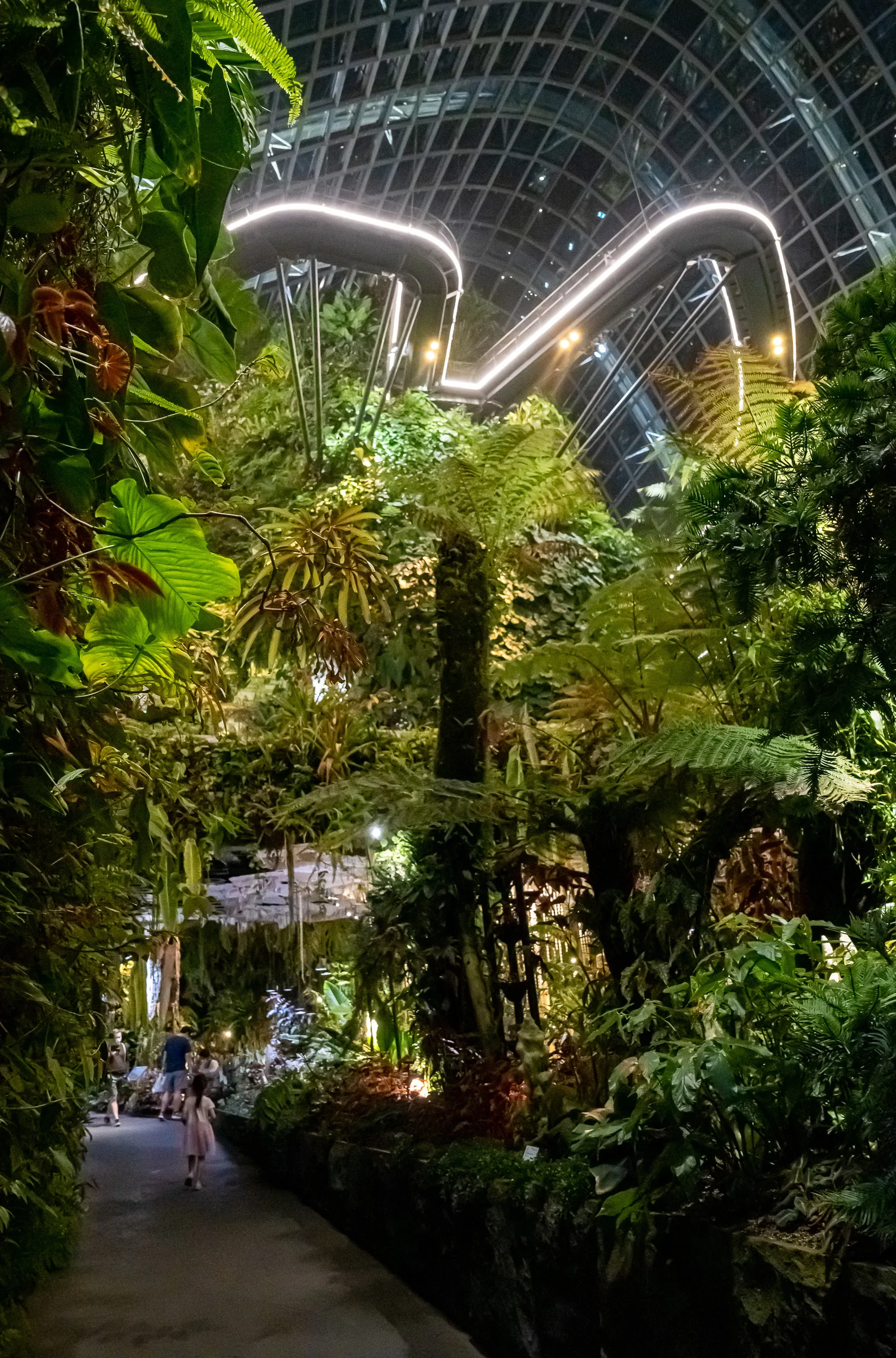 Singapore — photo 4 of 128
