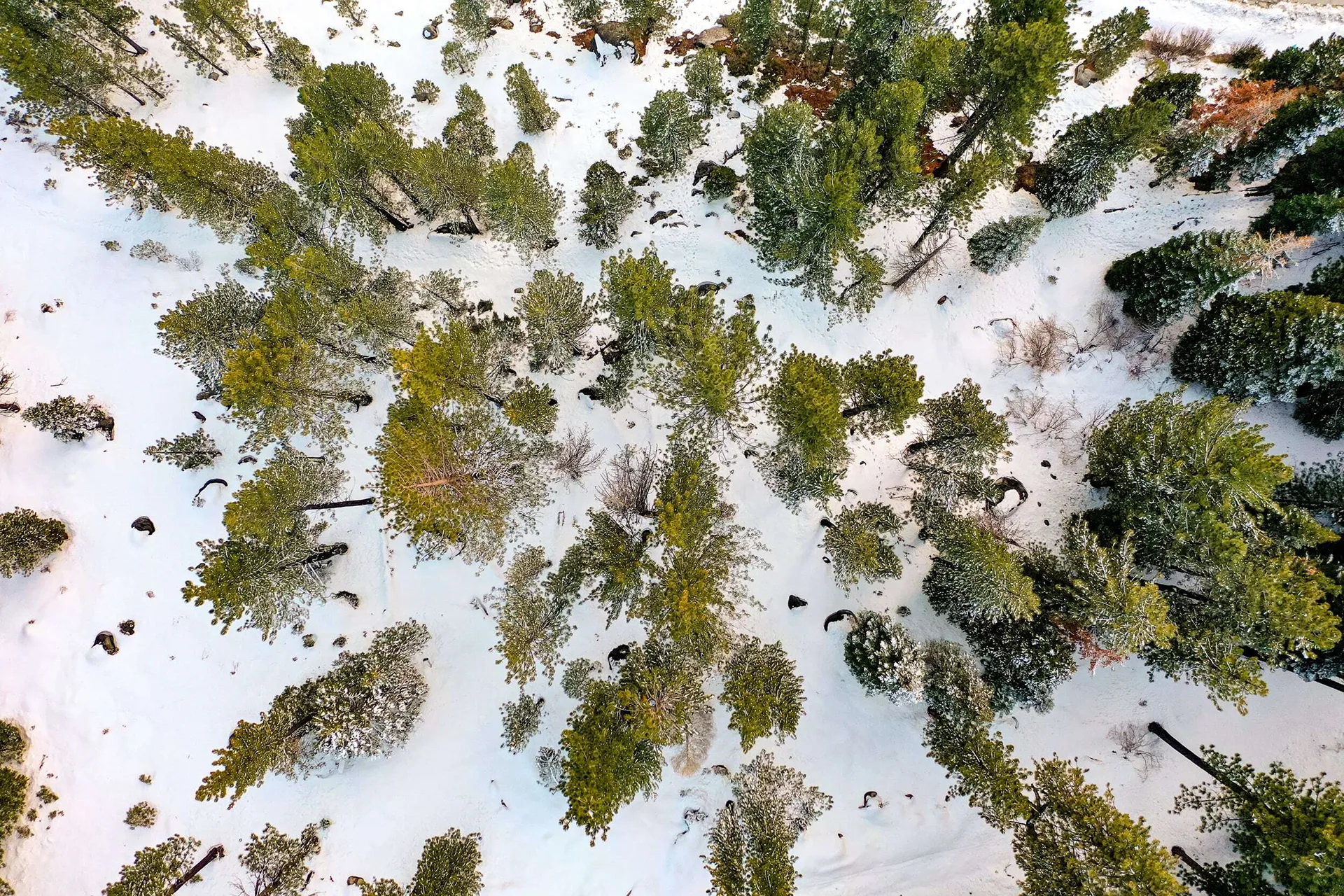 Tahoe Winter — photo 5 of 15