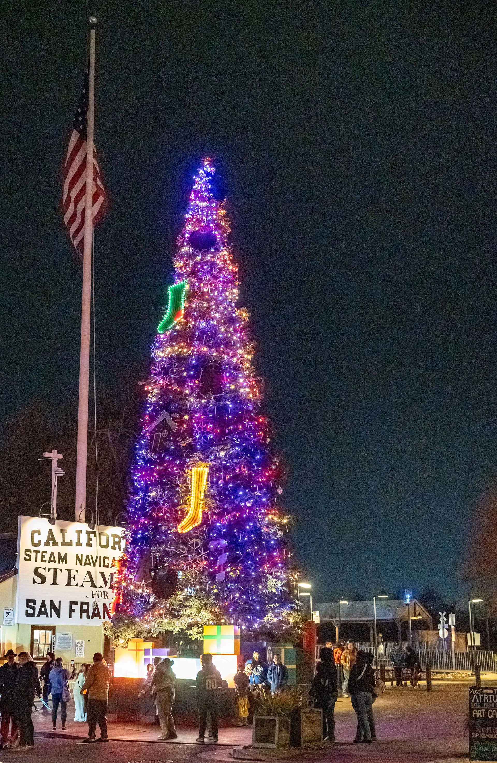 Sacramento & Napa — photo 6 of 42