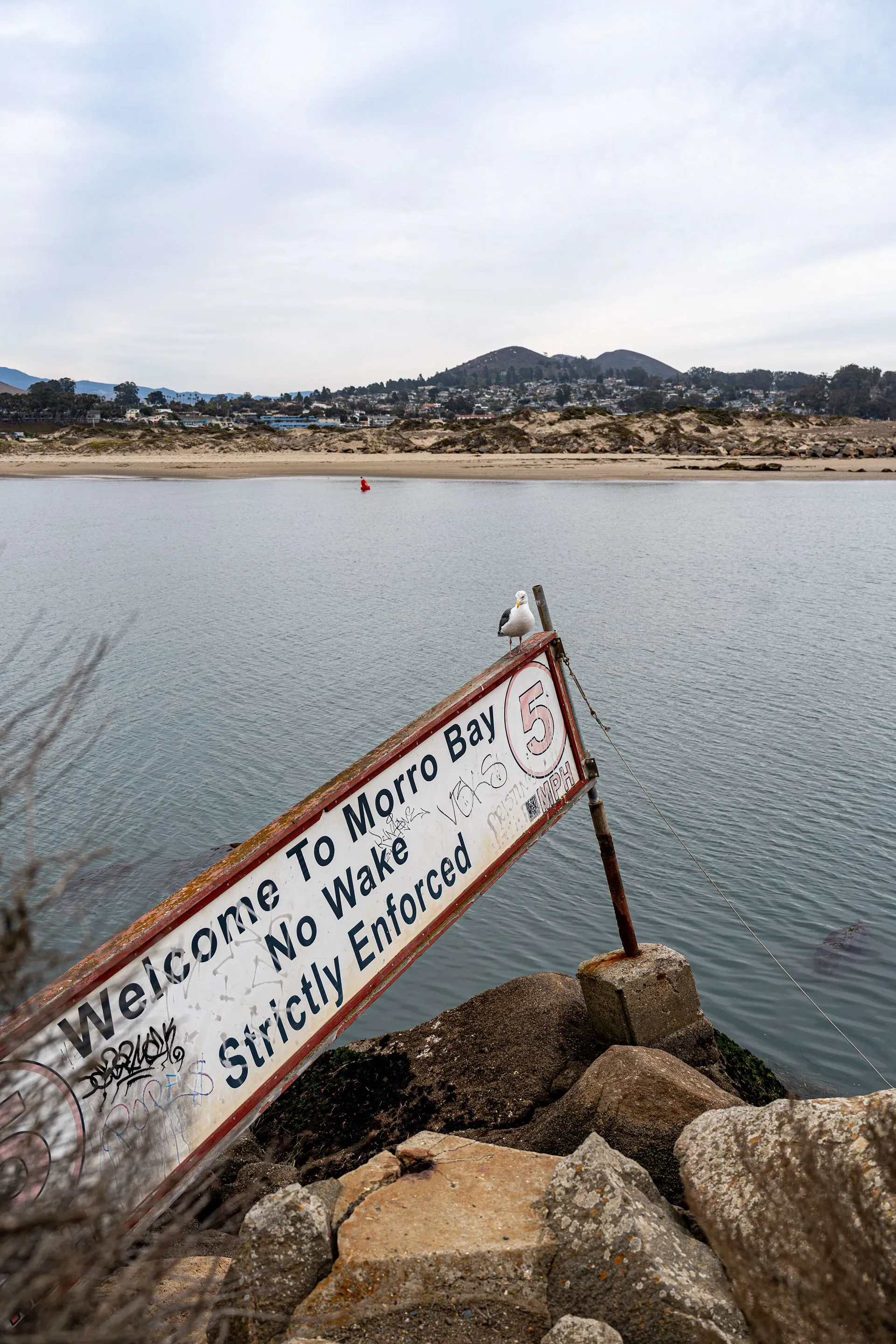 Morro Bay & Pismo — photo 8 of 44