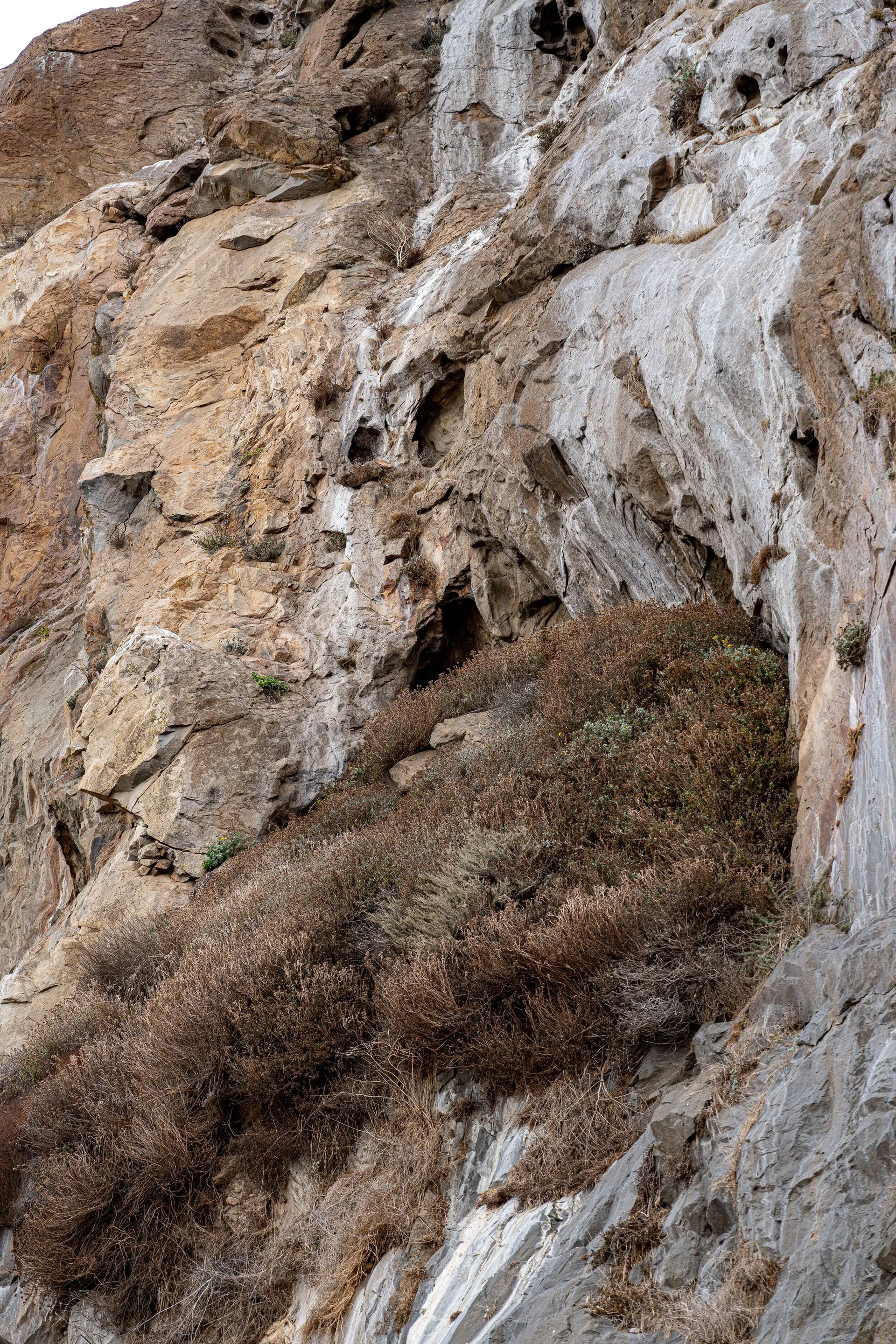 Morro Bay & Pismo — photo 12 of 44