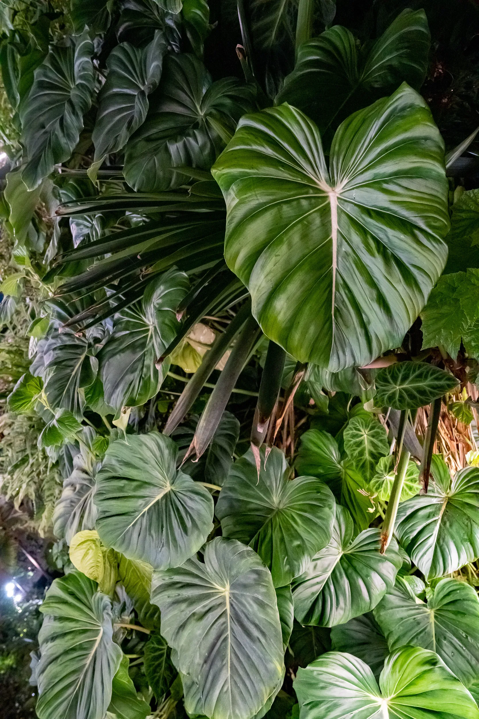 Singapore — photo 13 of 128