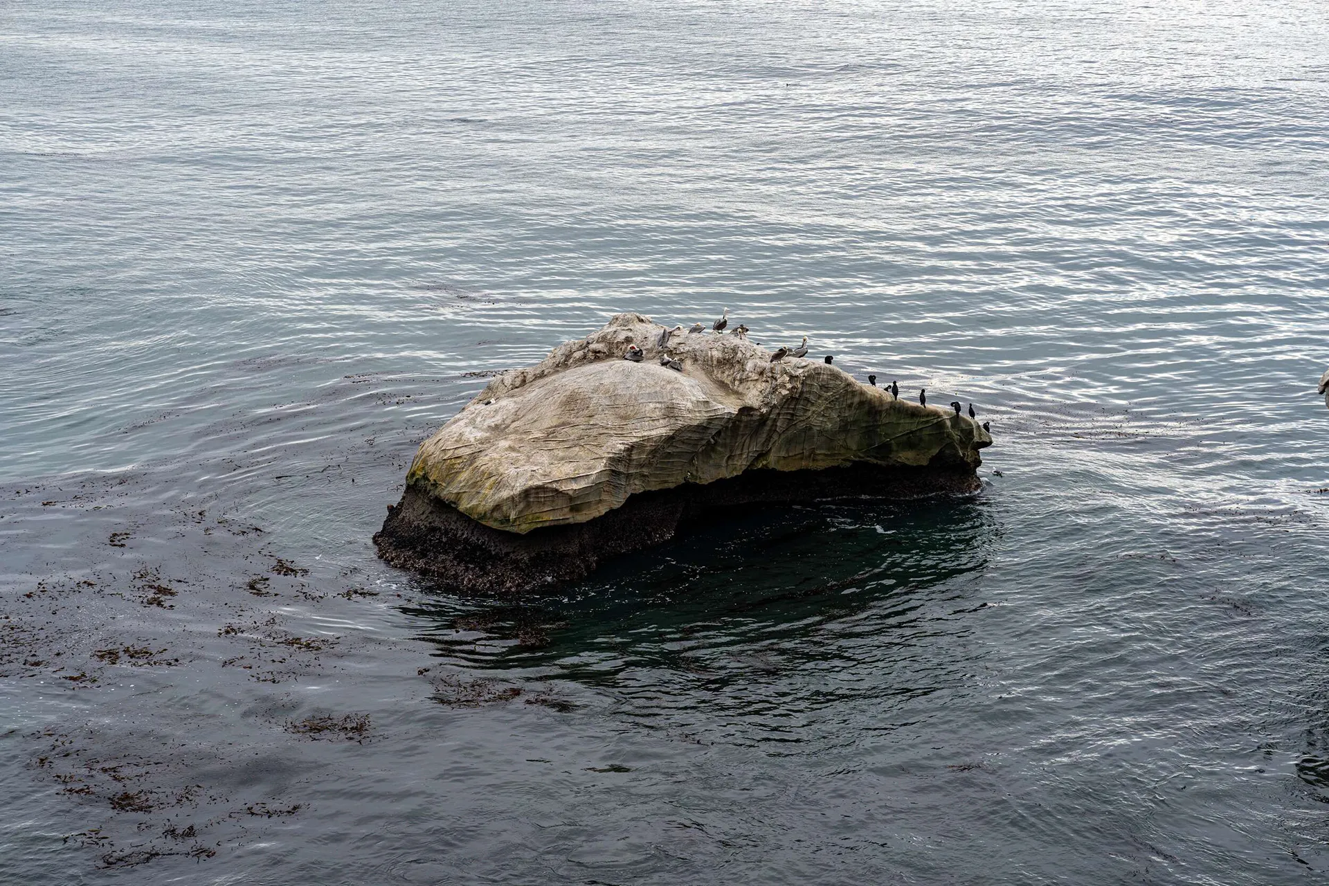 Morro Bay & Pismo — photo 20 of 44