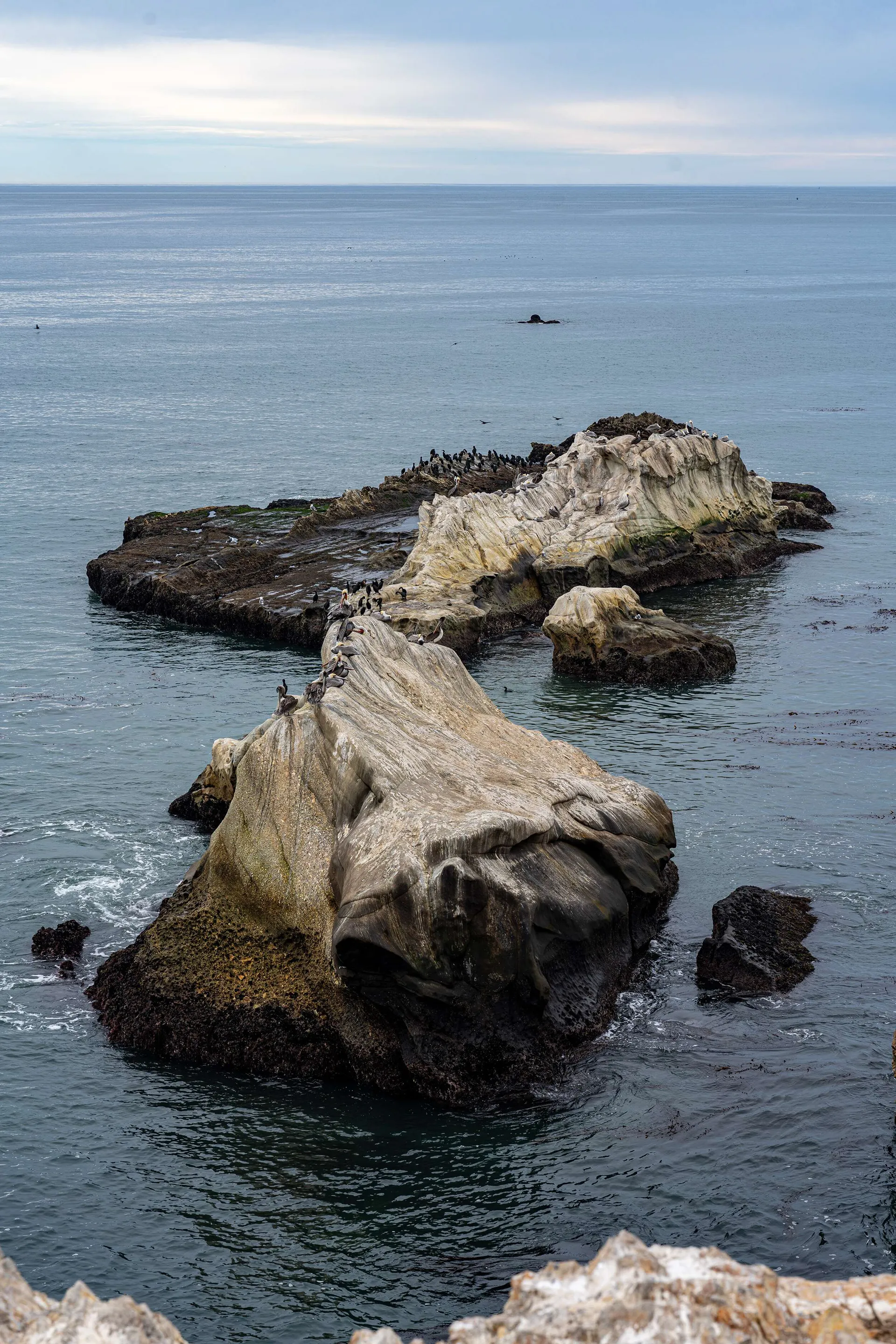 Morro Bay & Pismo — photo 22 of 44