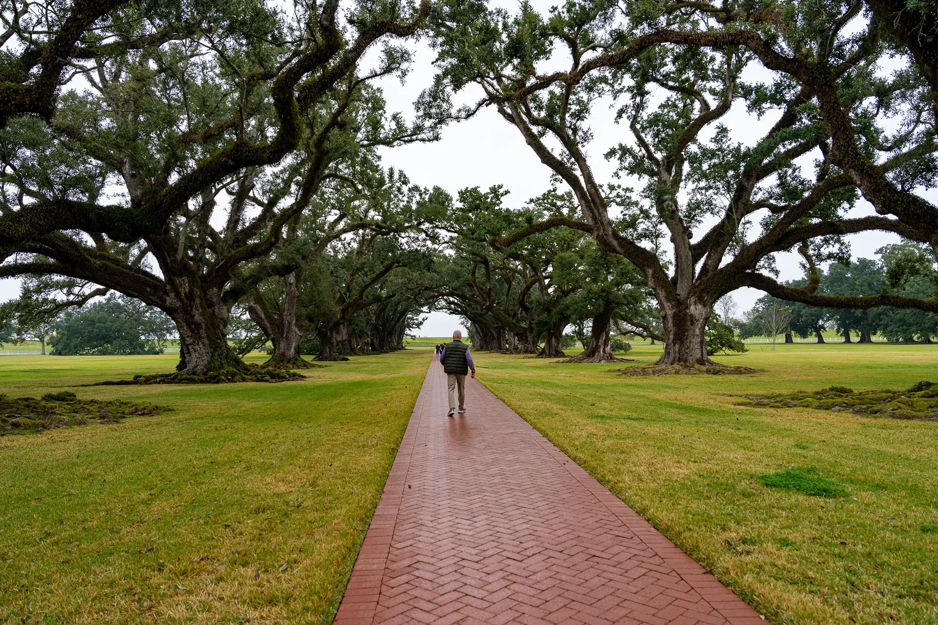 New Orleans — photo 33 of 63