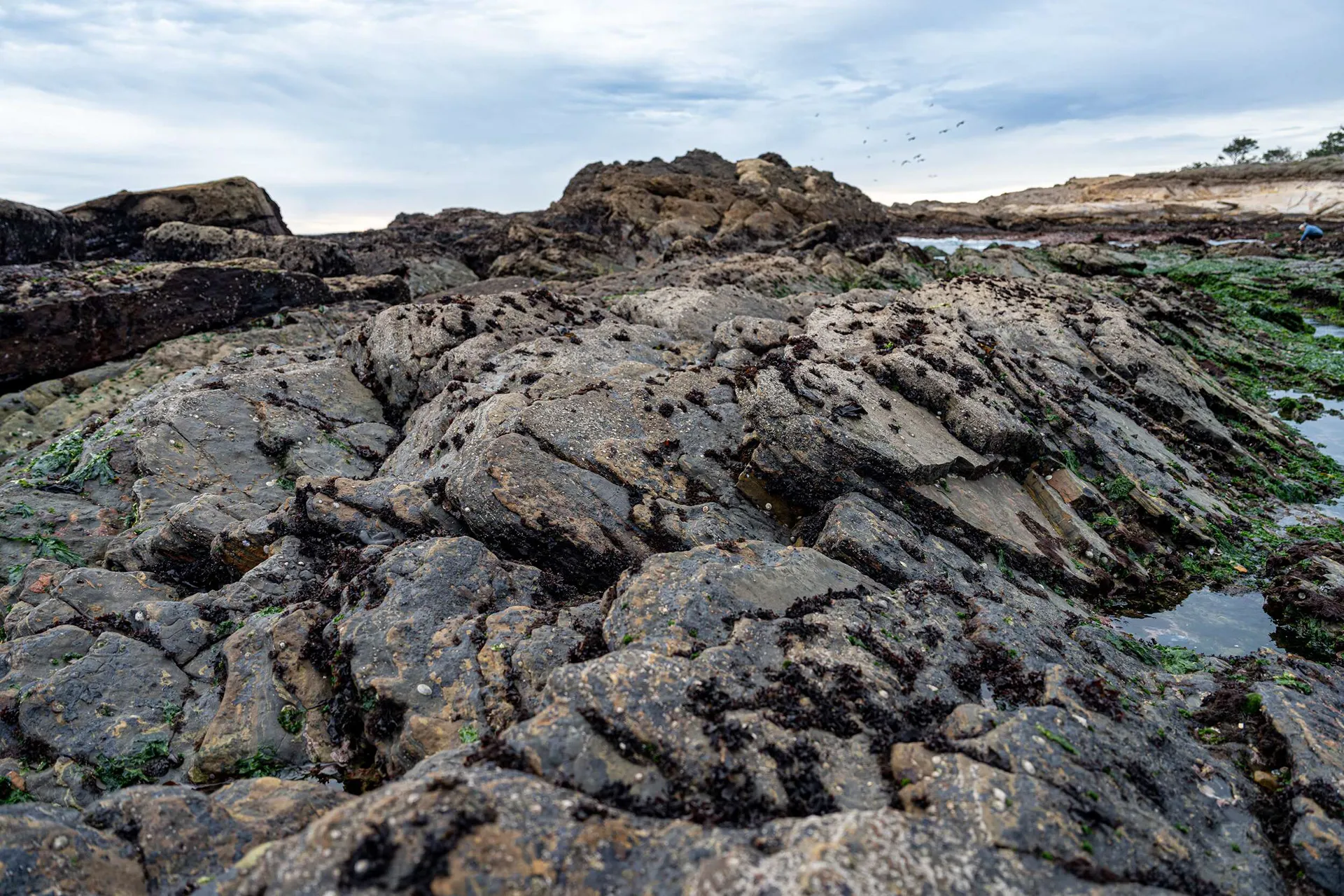 Morro Bay & Pismo — photo 33 of 44