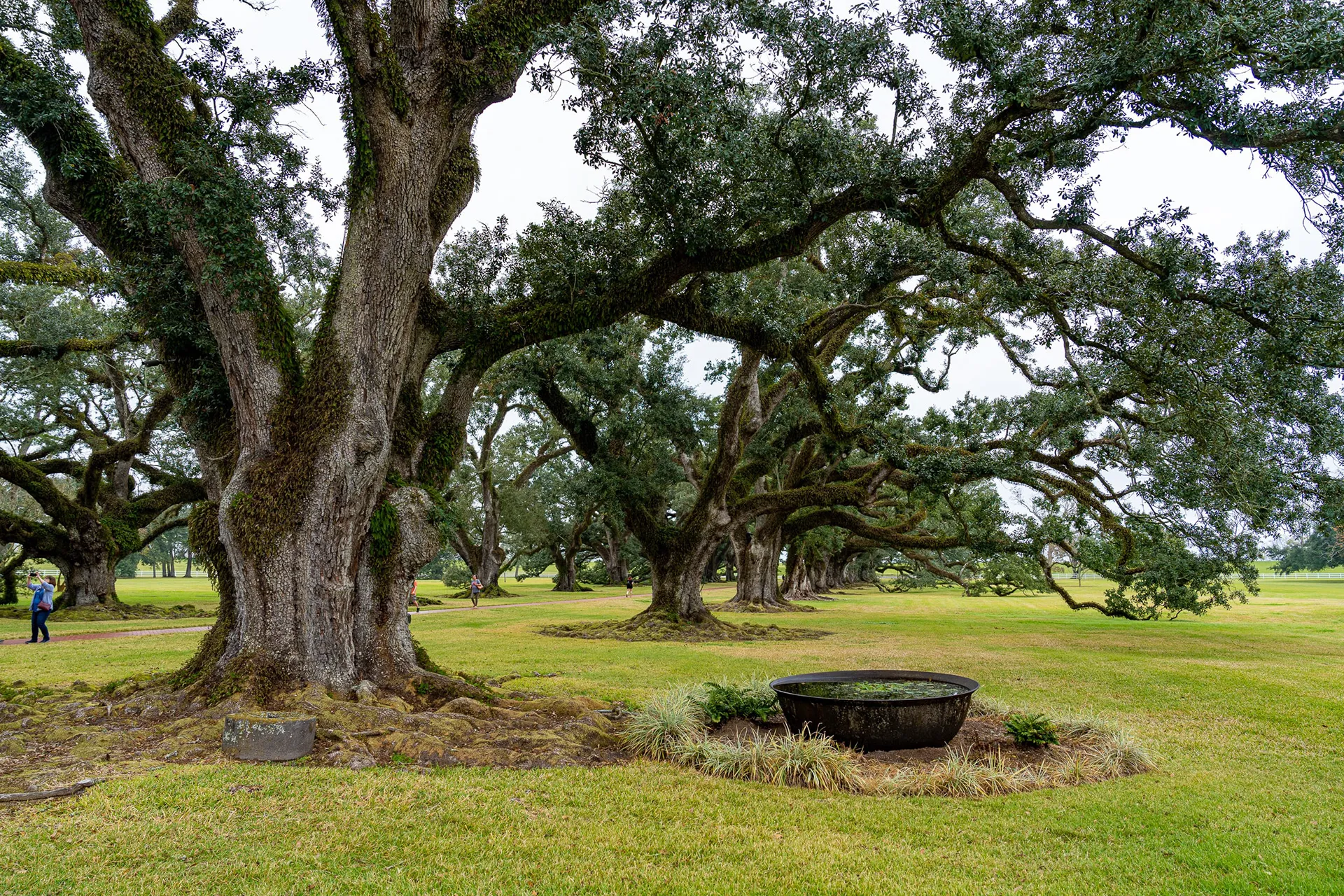 New Orleans — photo 35 of 63