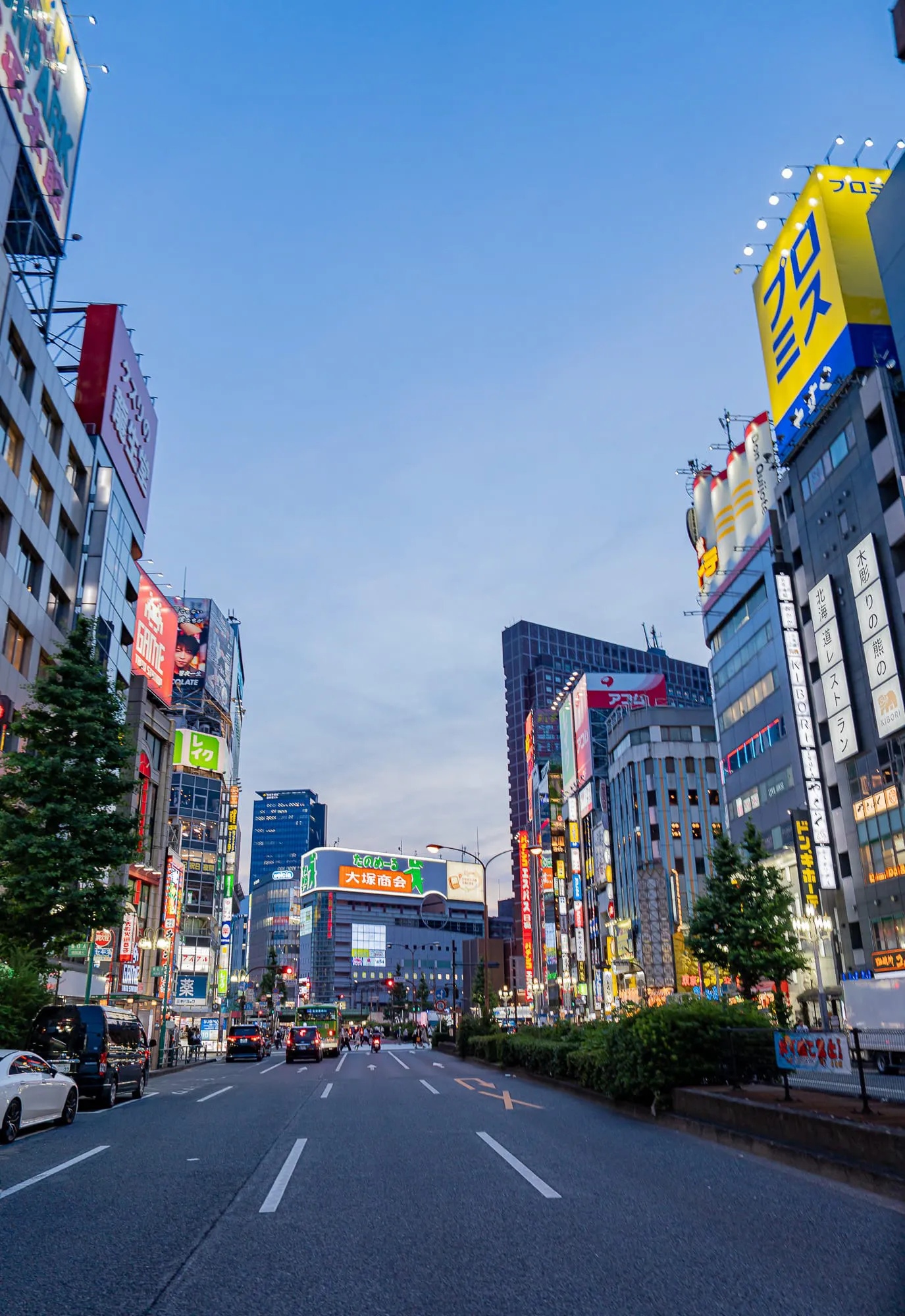 Japan — photo 36 of 197