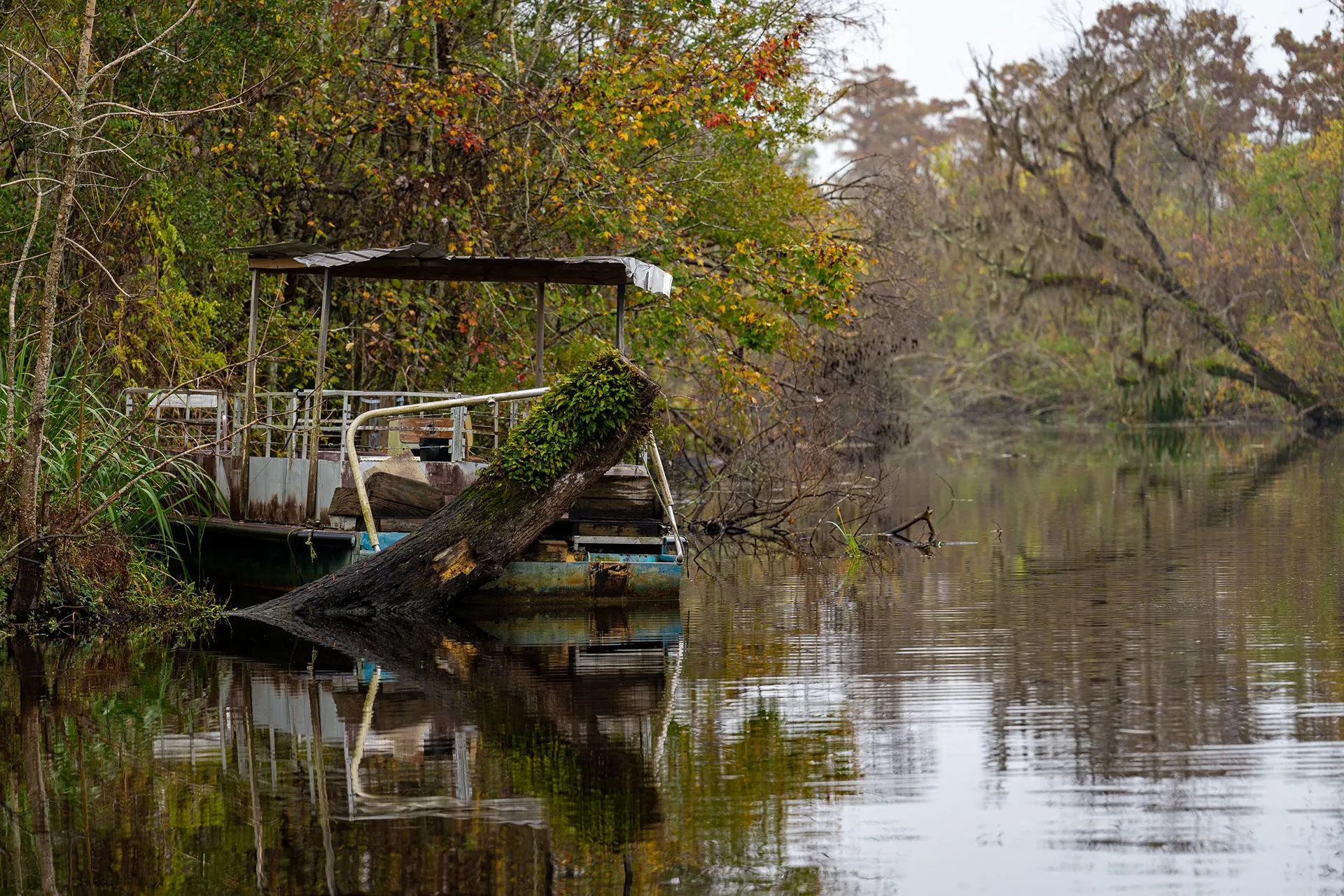 New Orleans — photo 38 of 63