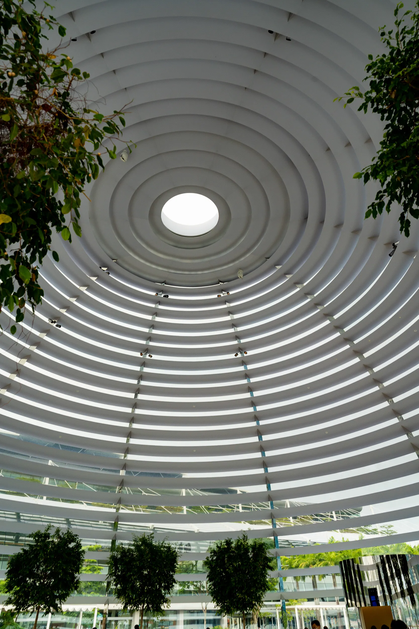 Singapore — photo 46 of 128