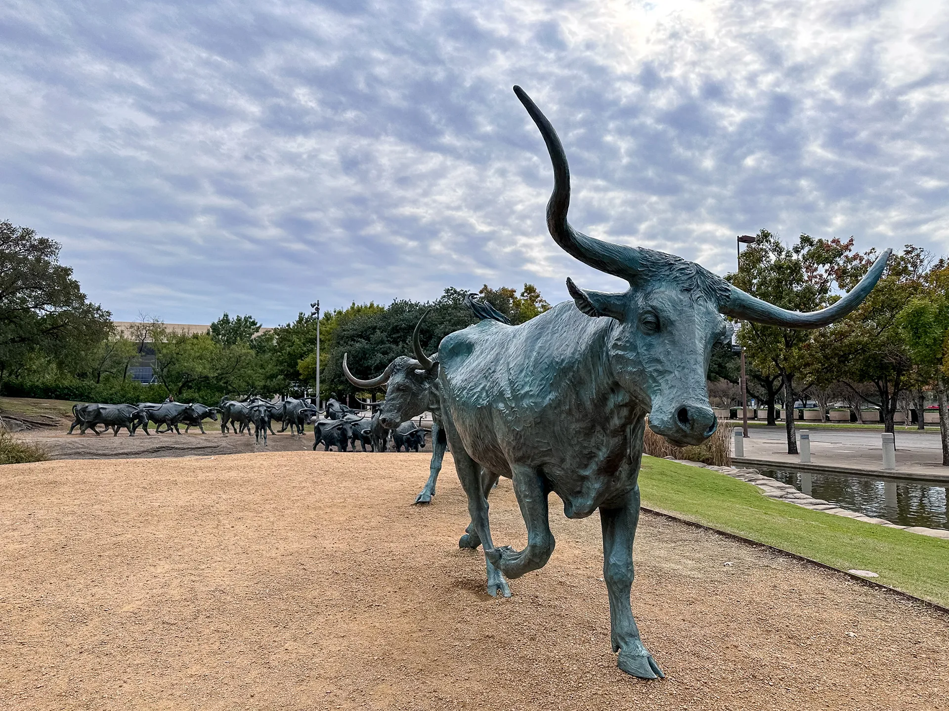 Texas — photo 57 of 59
