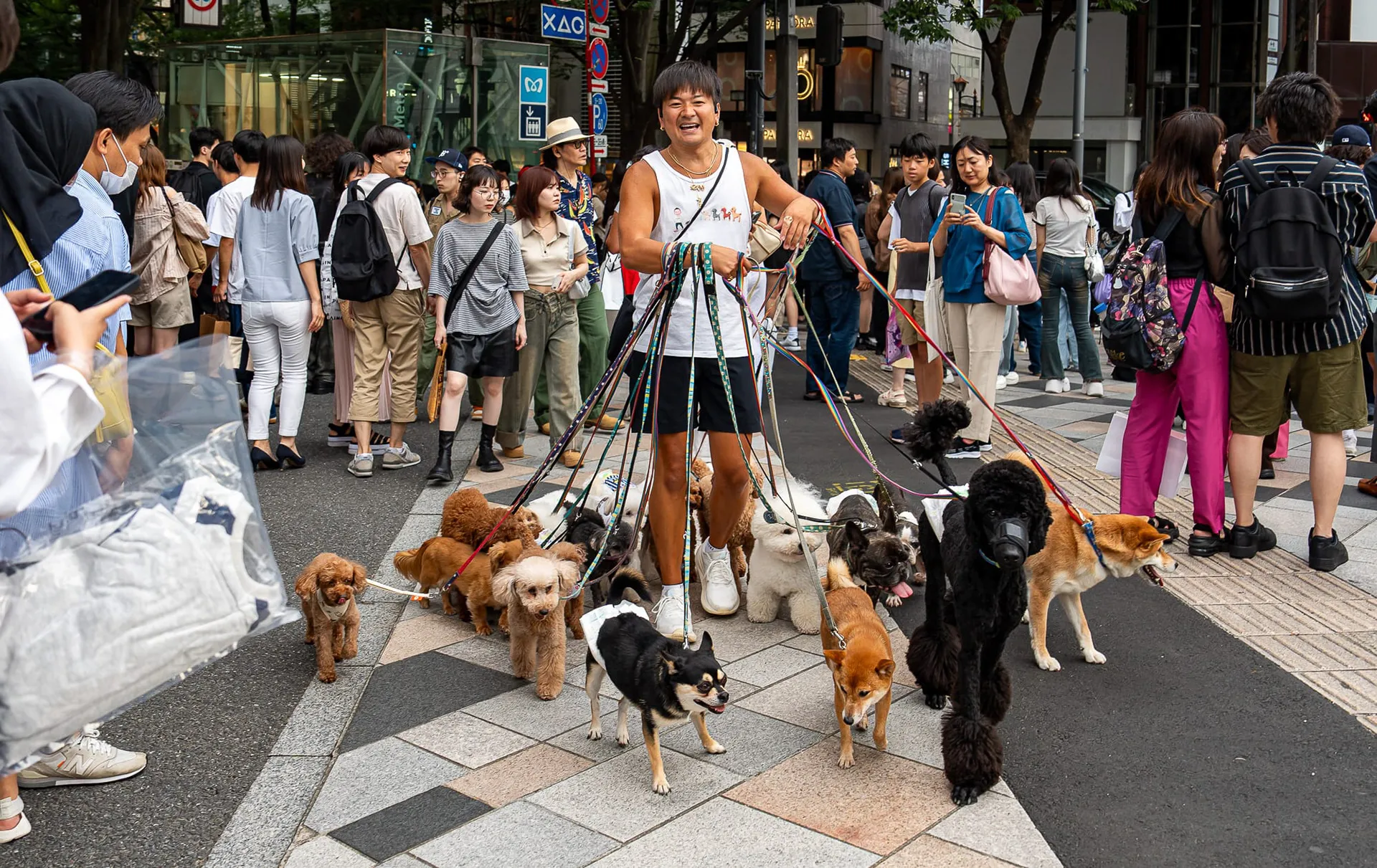 Japan — photo 79 of 197