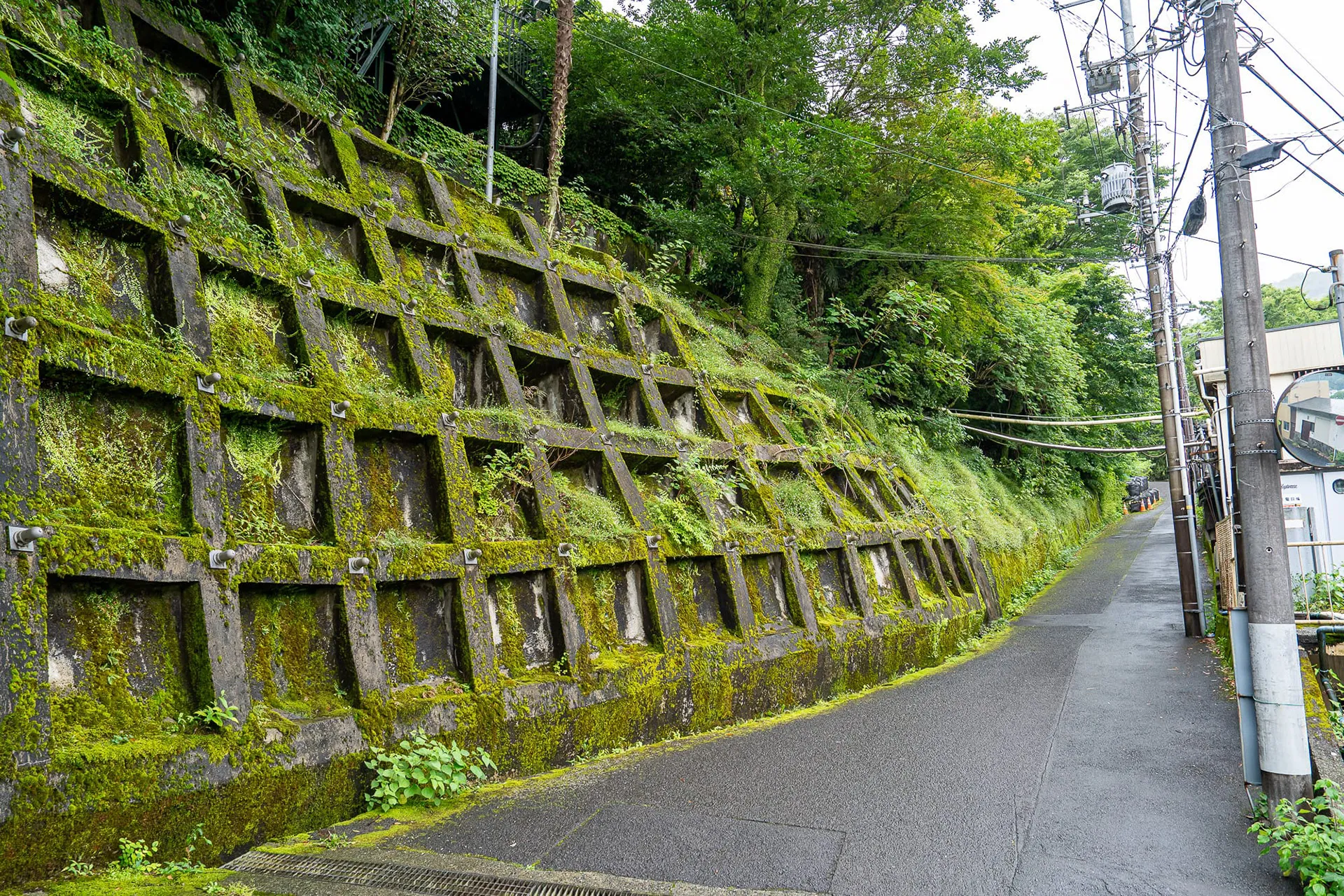 Japan — photo 81 of 197