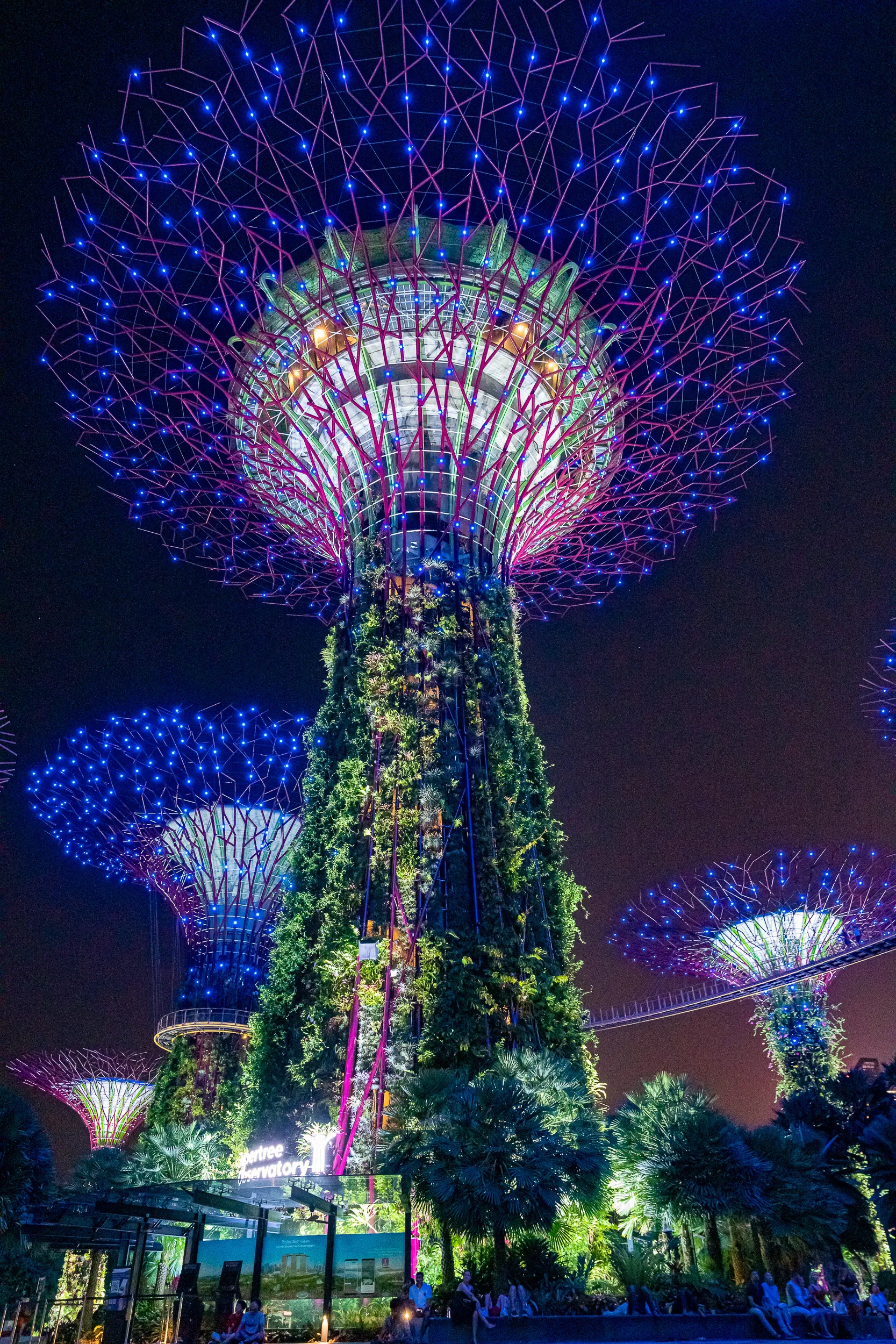 Singapore — photo 94 of 128