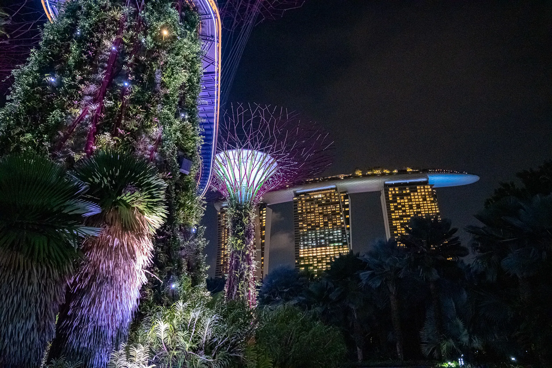 Singapore — photo 96 of 128