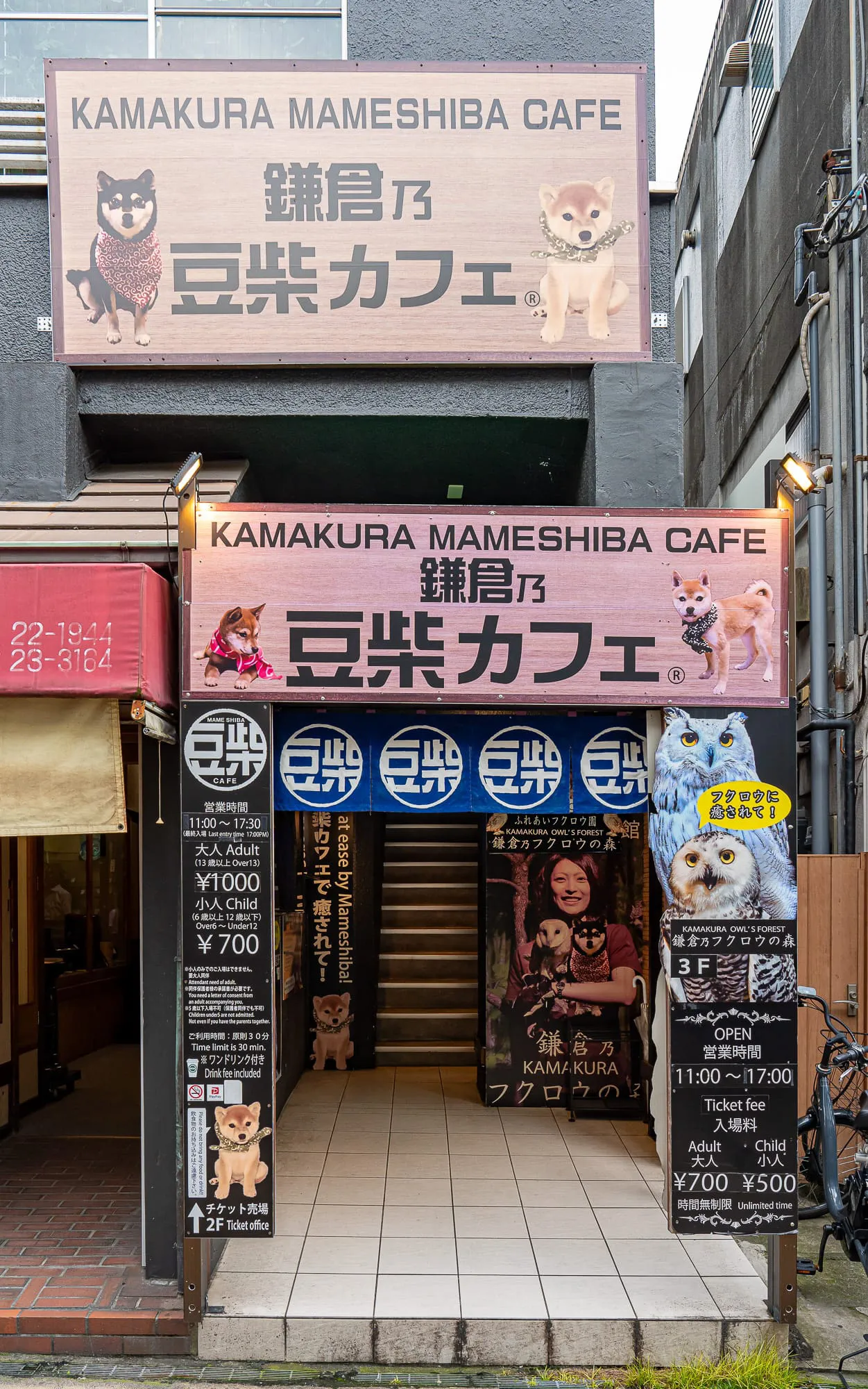 Japan — photo 114 of 197