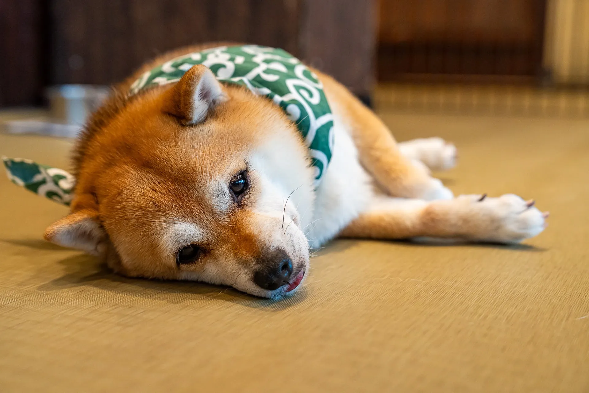 Japan — photo 115 of 197