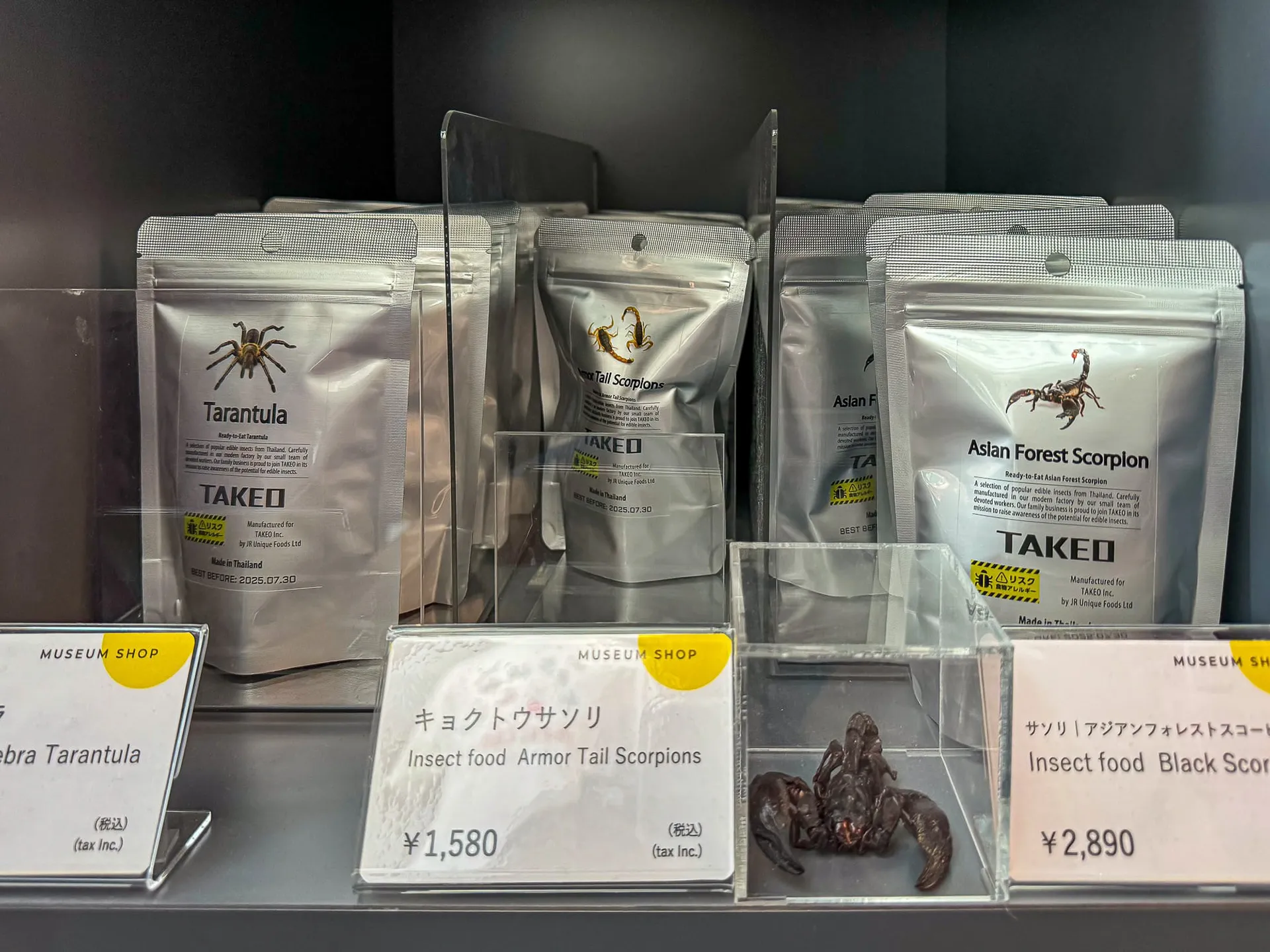 Japan — photo 178 of 197