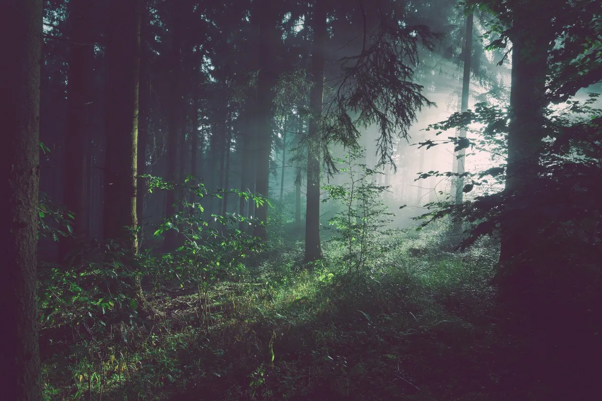 bef update 2 202103sebastian unrau sp p7uut0tw unsplash