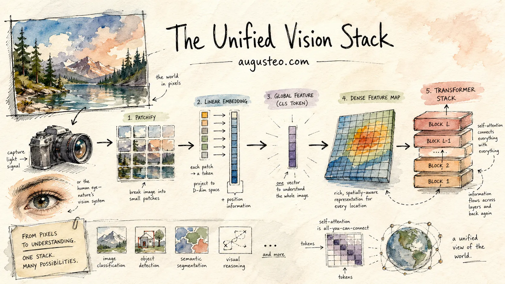 A watercolor diagram titled 'The Unified Vision Stack' showing the pipeline from a landscape photo through patchify, linear embedding, CLS token, dense feature map, and a transformer stack, ending in image classification, object detection, semantic segmentation, and visual reasoning.
