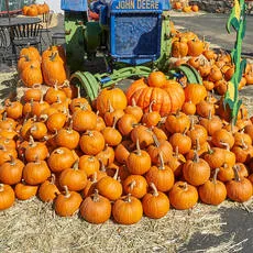 norcal-renaissance-faire-2018-IMG_9004-thumb.jpg
