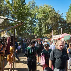 norcal-renaissance-faire-2018-IMG_9061-thumb.jpg