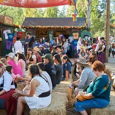 norcal-renaissance-faire-2018-IMG_9382-thumb.jpg