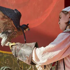 norcal-renaissance-faire-2018-IMG_9432-thumb.jpg