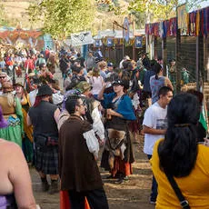 norcal-renaissance-faire-2018-IMG_9523-thumb.jpg