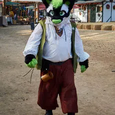 norcal-renaissance-faire-2018-IMG_9524-thumb.jpg