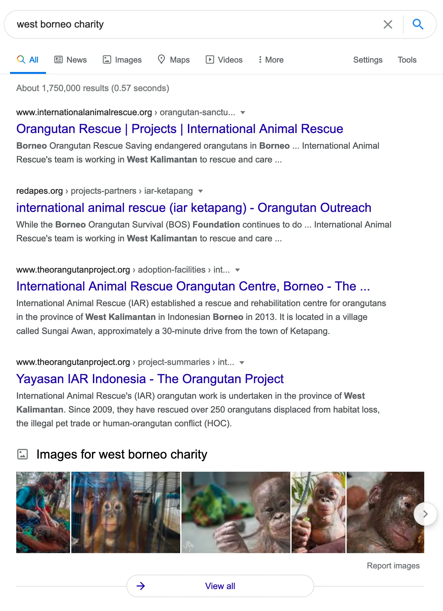 starting-charity-202102screen-shot-2021-02-01-at-10-23-29-pm.png